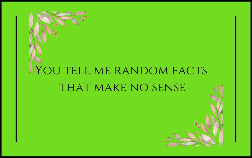 You tell me random facts that make no sense.