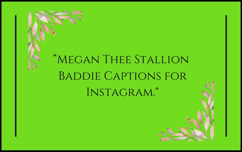 Megan Thee Stallion Baddie Captions for Instagram